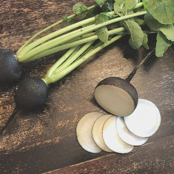 Radish Seeds – Black 