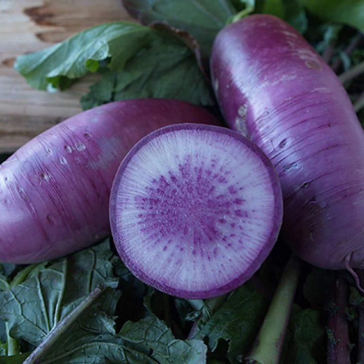 Radish Seeds – Blue