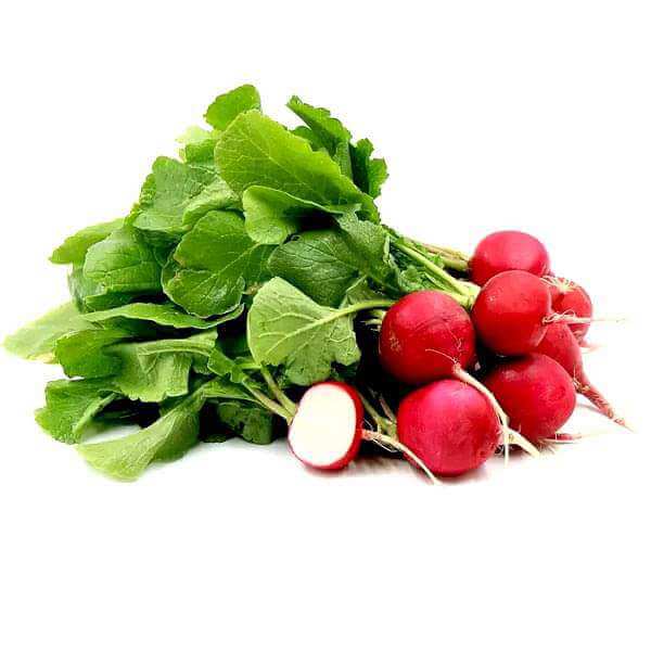 Radish Seeds – Red