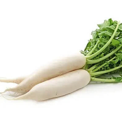 Radish Seeds - Smooth White Daikon