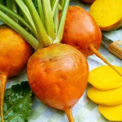 Radish Seeds – Dark Orange