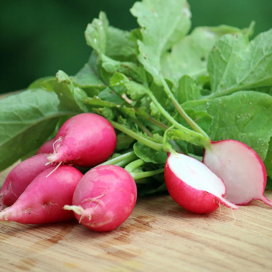 Radish Seeds – Lady Slipper