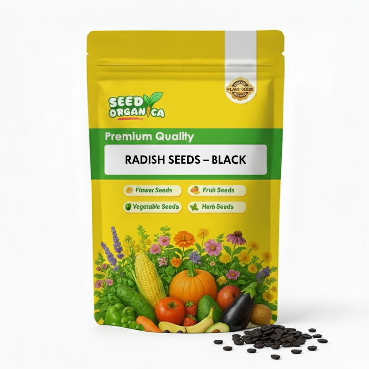 Radish Seeds – Black