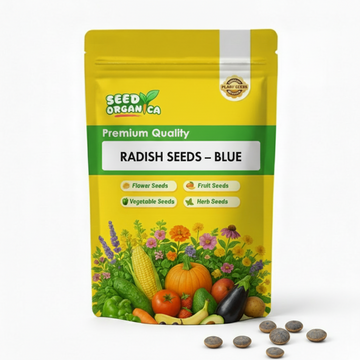Radish Seeds – Blue