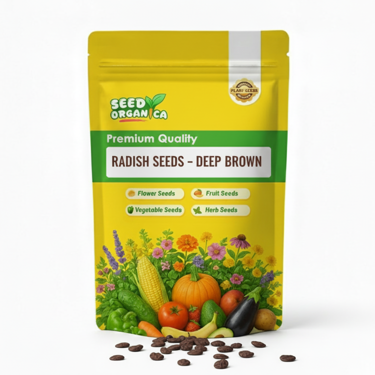 Radish Seeds – Deep Brown