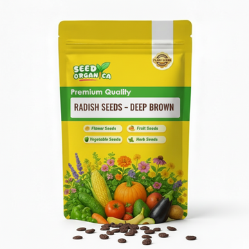 Radish Seeds – Deep Brown