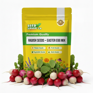 Radish Seeds – Easter Egg Mix