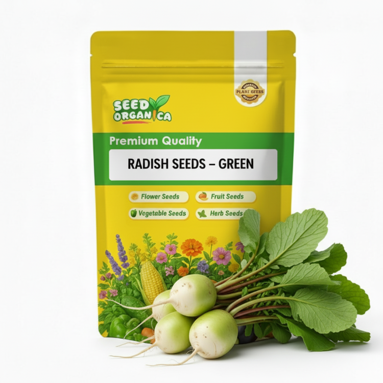 Radish Seeds – Green