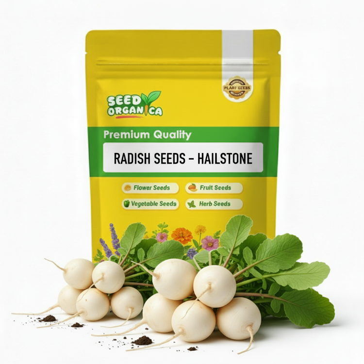 Radish Seeds – Hailstone