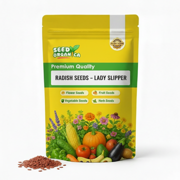 Radish Seeds – Lady Slipper