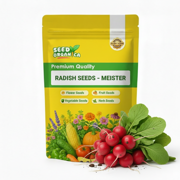 Radish Seeds – Meister