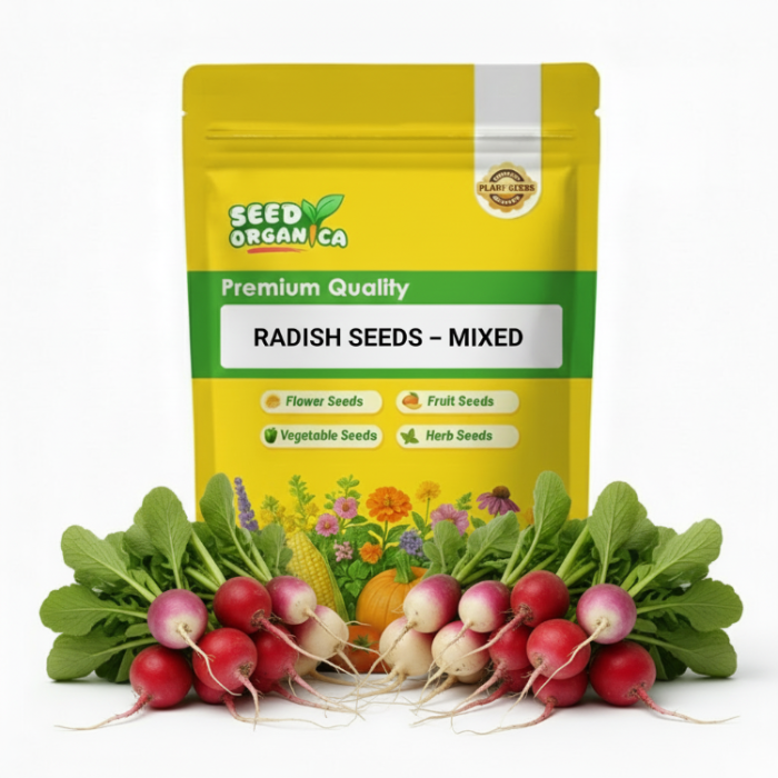 Radish Seeds – Mixed