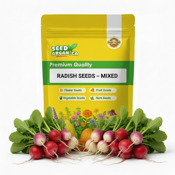 Radish Seeds – Mixed