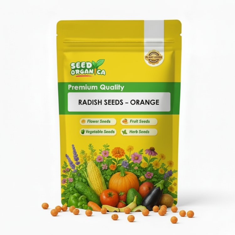 Radish Seeds – Orange