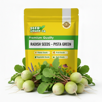Radish Seeds – Pista Green