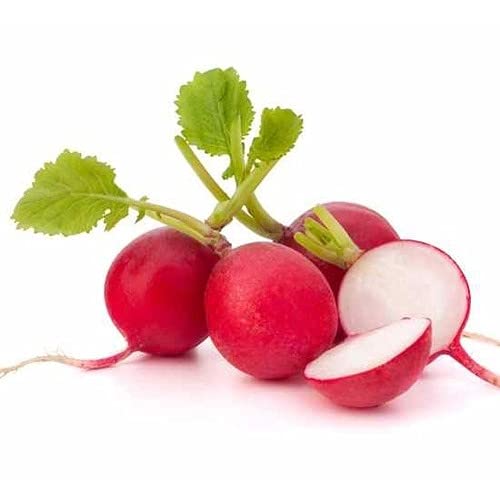 Radish Seeds – Red