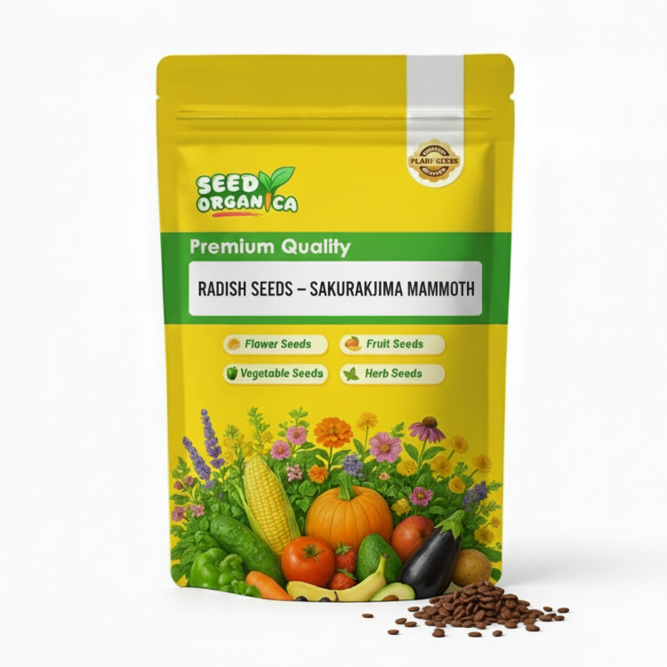 Radish Seeds – Sakurajima Mammoth