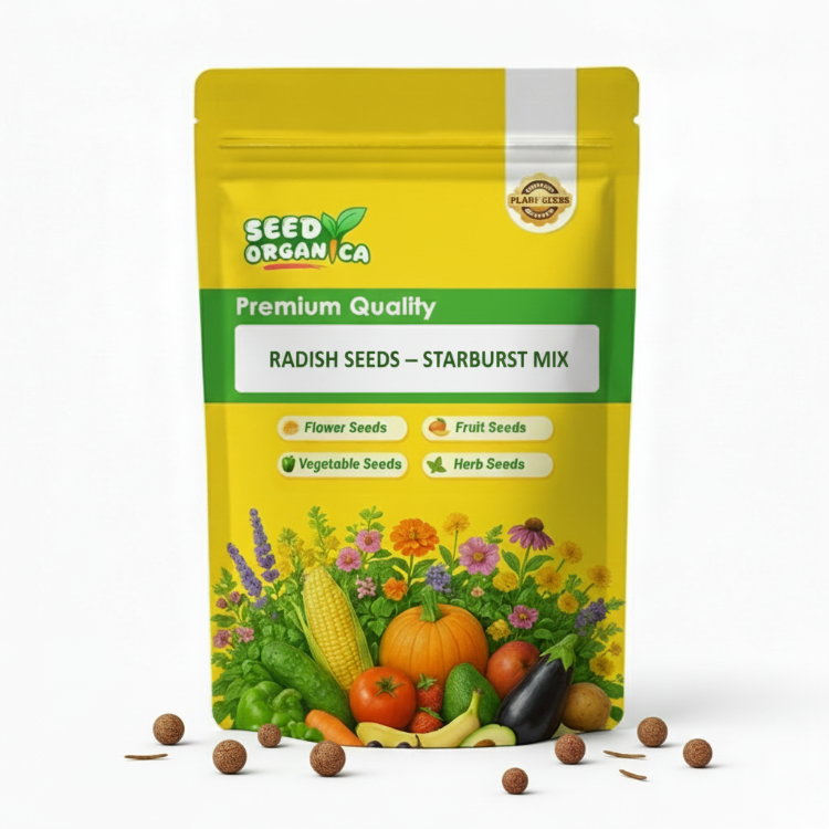 Radish Seeds – Starburst Mix