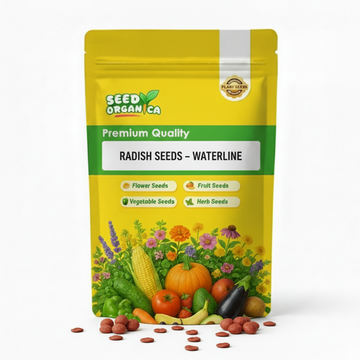 Radish Seeds – Waterline