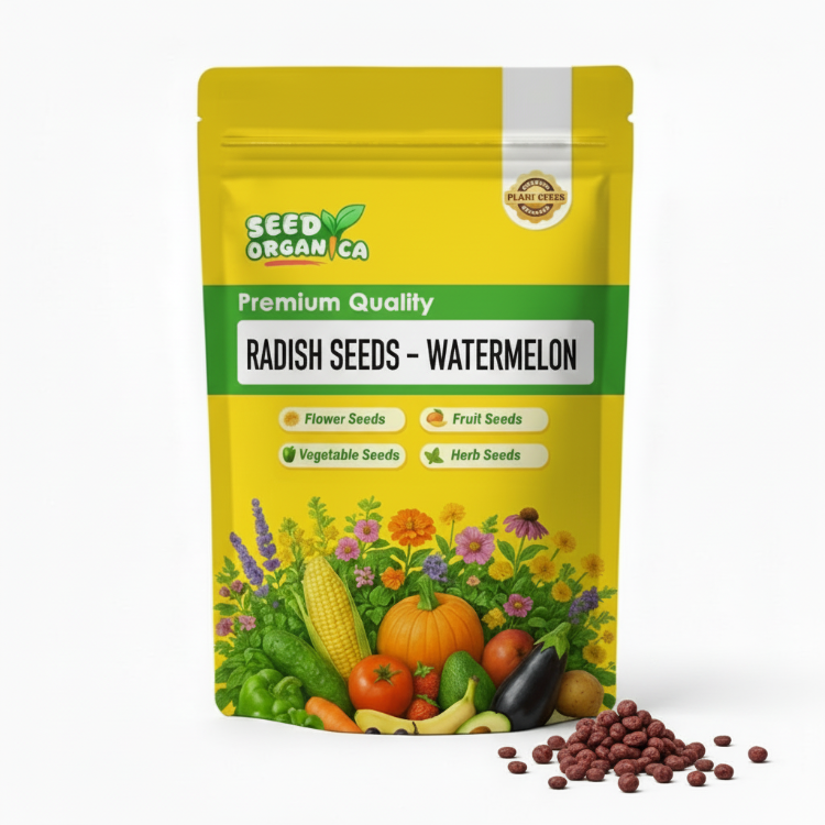 Radish Seeds – Watermelon