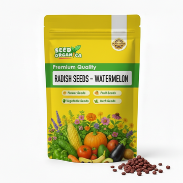 Radish Seeds – Watermelon