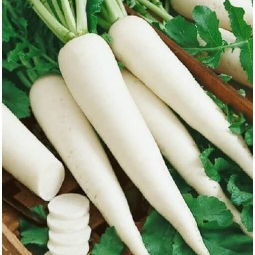 Radish Seeds – White