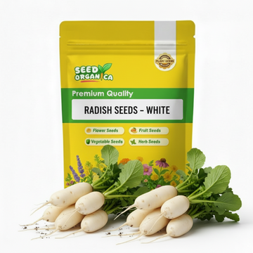 Radish Seeds – White