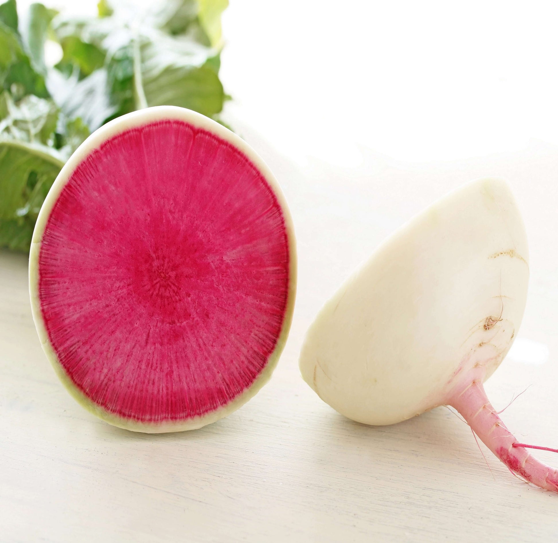 Radish Seeds – Starburst Mix