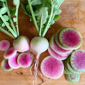 Radish Seeds – Watermelon