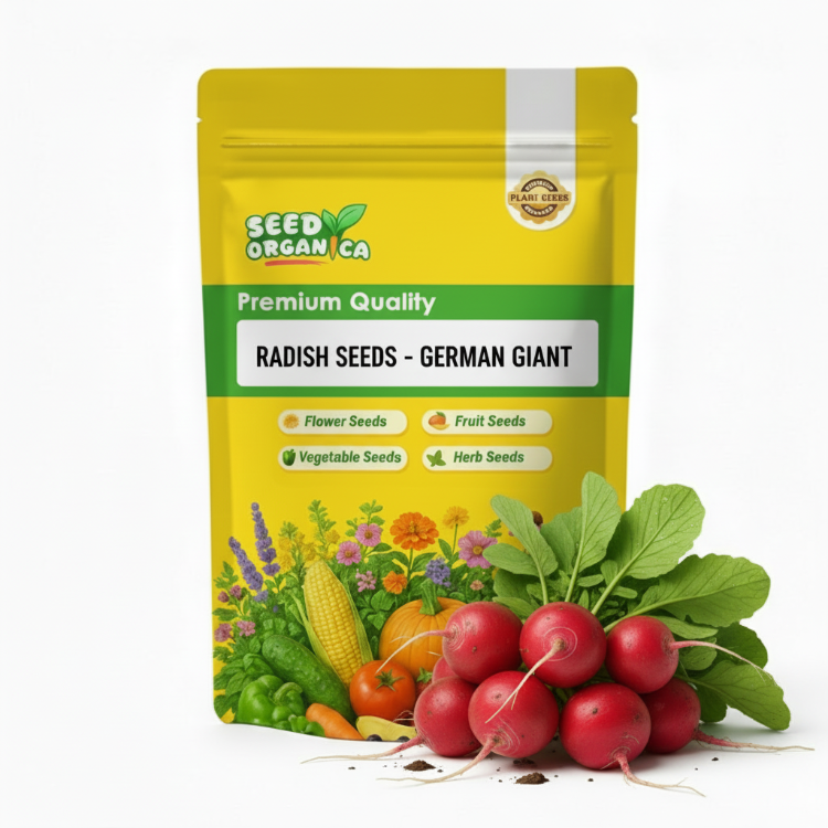 Radish seeds - German Giant
