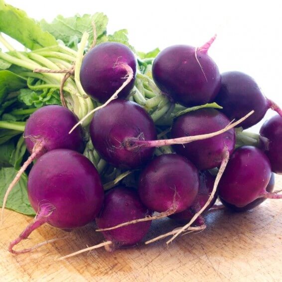 Radish seeds - violet