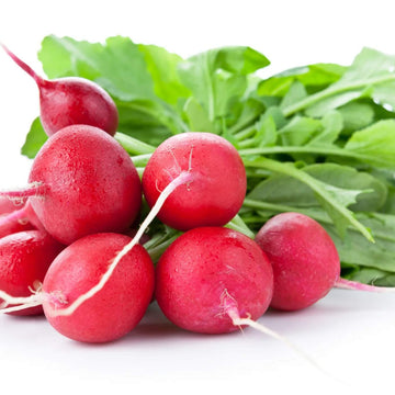 Radish seeds - German Giant