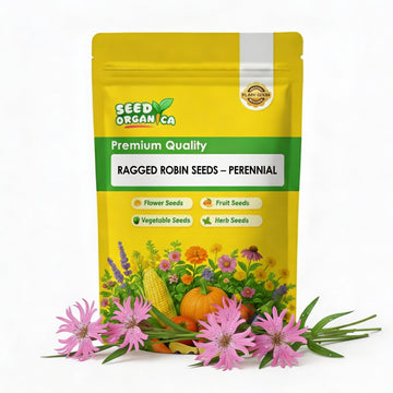 Ragged Robin Seeds – Perennial