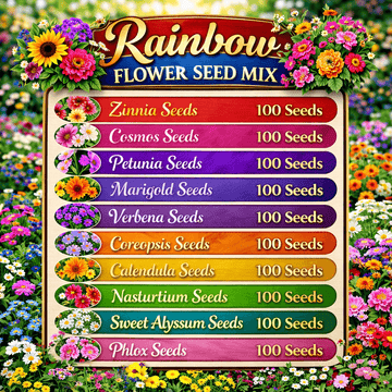 Rainbow Flower Seed Mix