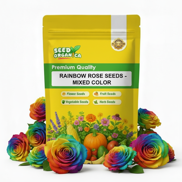 Rainbow Rose  Seeds - Mixed Color
