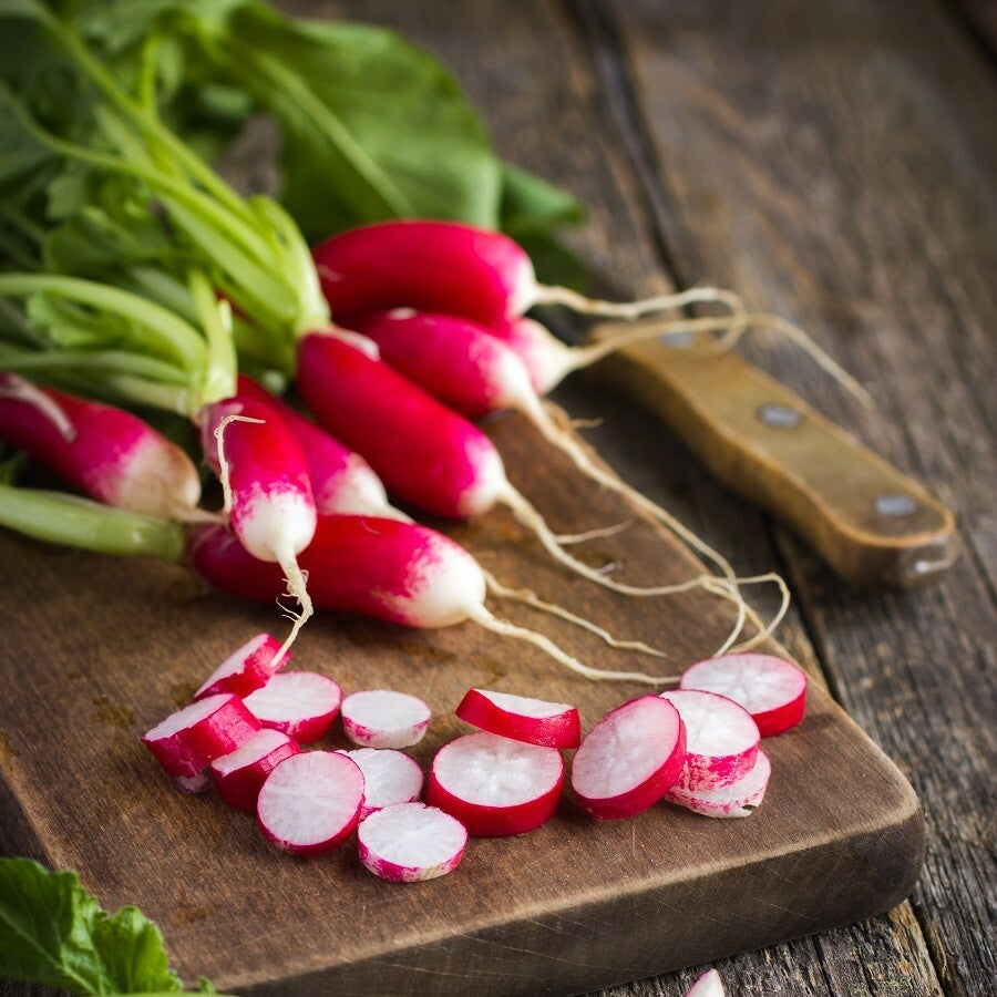 Rapid Yield Radish Seeds 