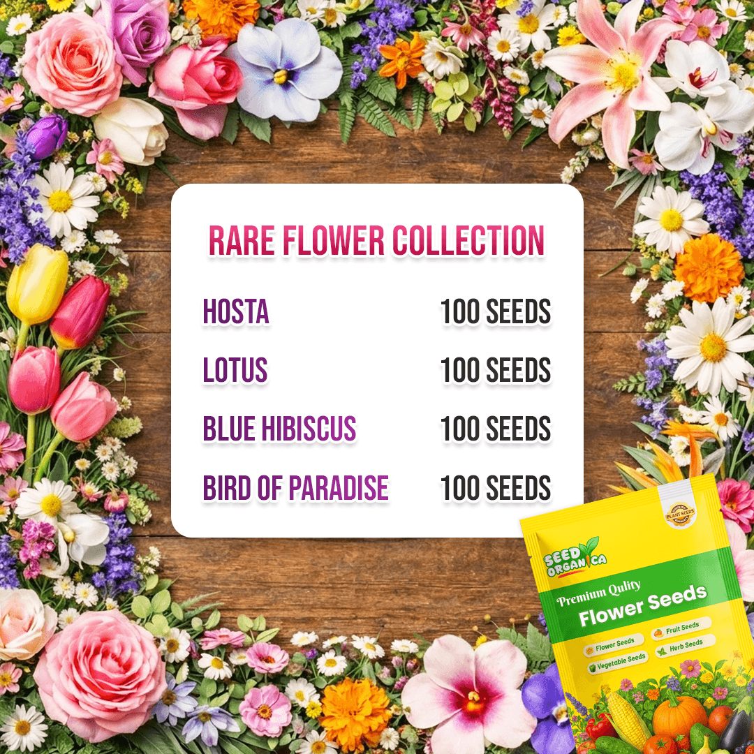 Rare Flower Collection Kit