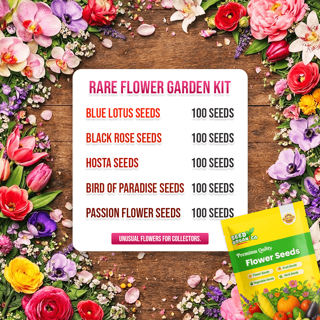 Rare Flower Garden Kit