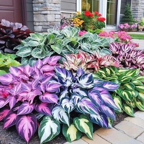 Rare Flower Garden Kit