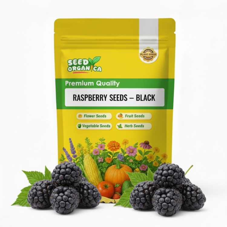 Raspberry Seed Packets Black Raspberry Seeds | Heirloom Berry Plant Seeds