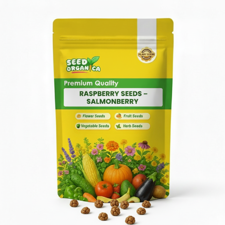 Raspberry Seed Packets Salmonberry Raspberry Seeds | Rubus Fruit Shrub