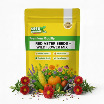 Red Aster Seeds – Wildflower Mix
