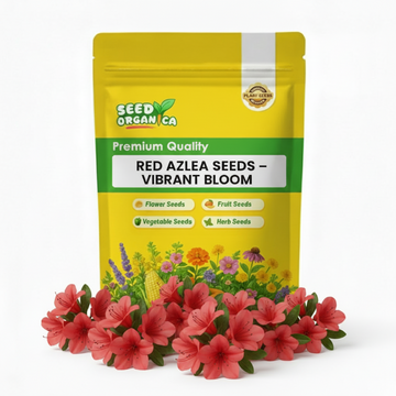 Red Azalea Seeds – Vibrant Bloom