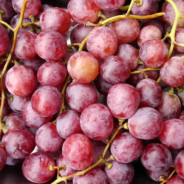 Red Concord Grape Seeds