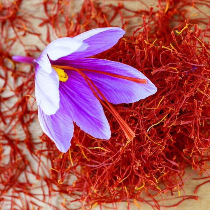 Red Crocus Seeds