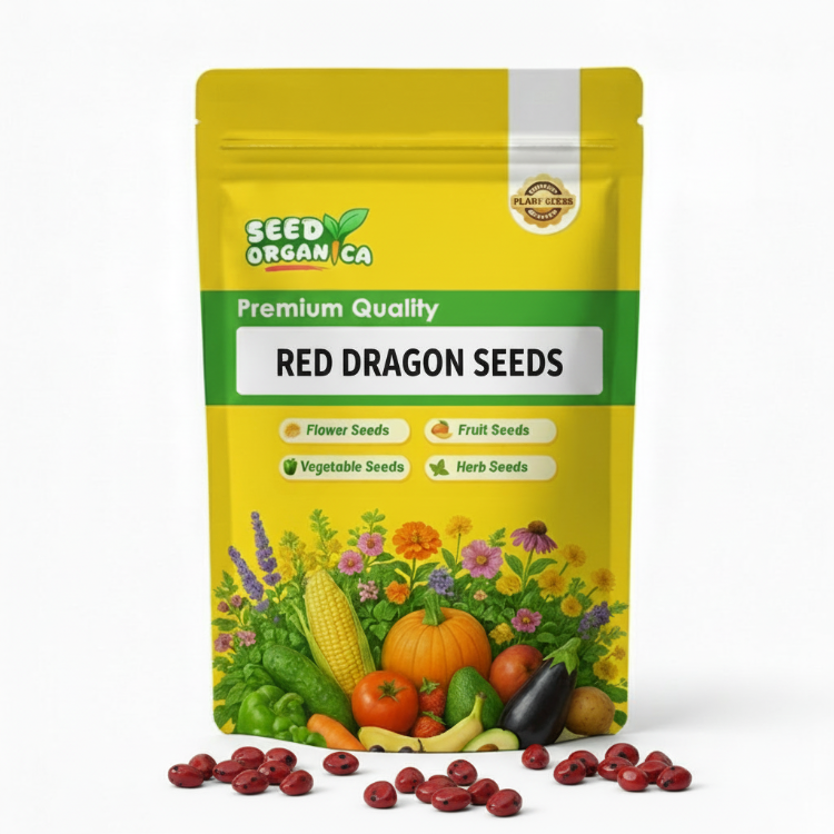 Red Dragon Seeds