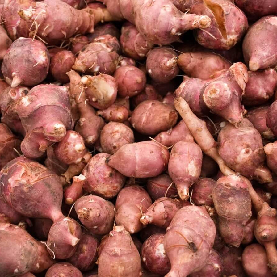 Red Fuseau Seeds - Vegetable Plant