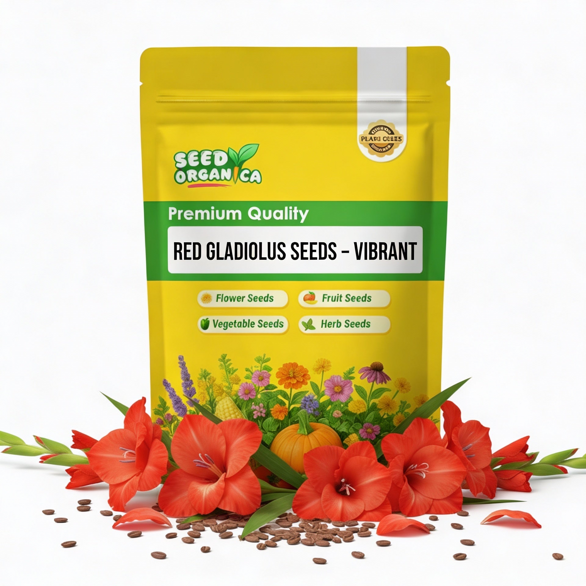 Red Gladiolus Seeds – Vibrant