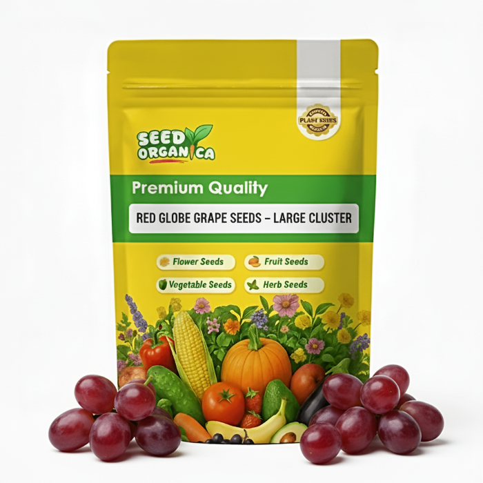 Red Globe Grape Seeds – Large Cluster