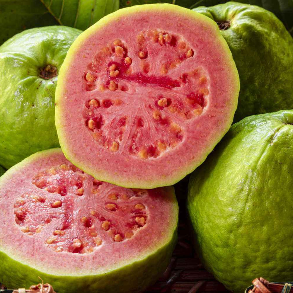 Red Guava Seeds 